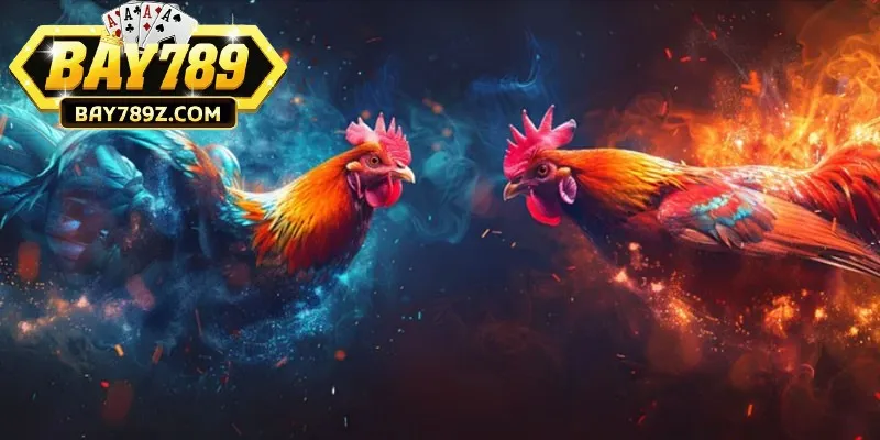 Cách chơi đá gà ngũ sắc thu tiền lời lớn từ cao thủ Bay789