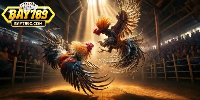 Ưu tiên sự thay đổi của kèo khi cá cược Ưu tiên sự thay đổi của kèo khi cá cược